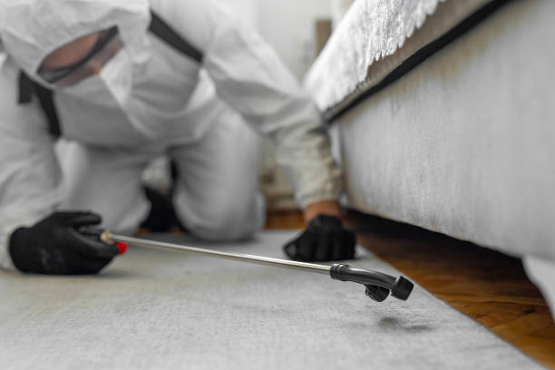 Professional Termite Control technician working in Grafton County County, NH